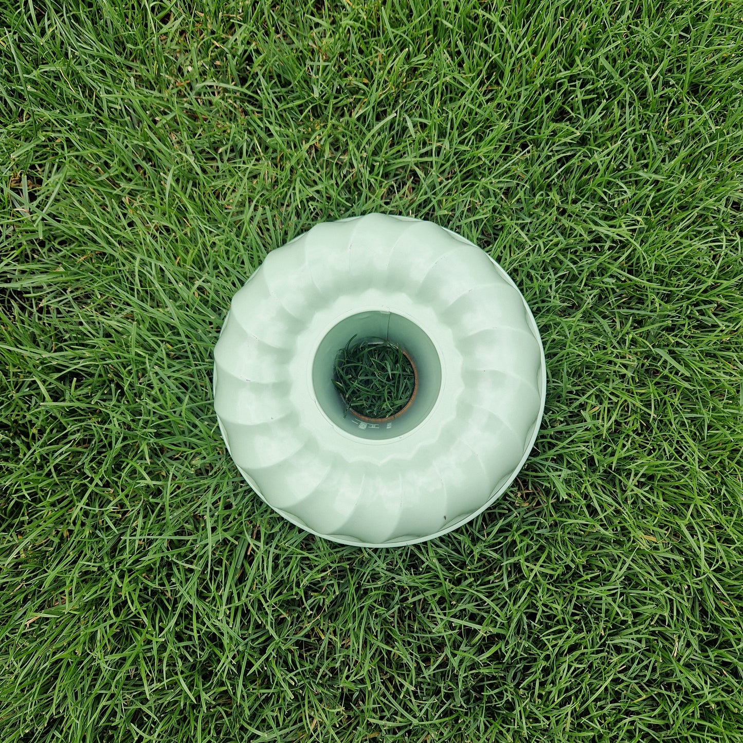 cake pan in mint green