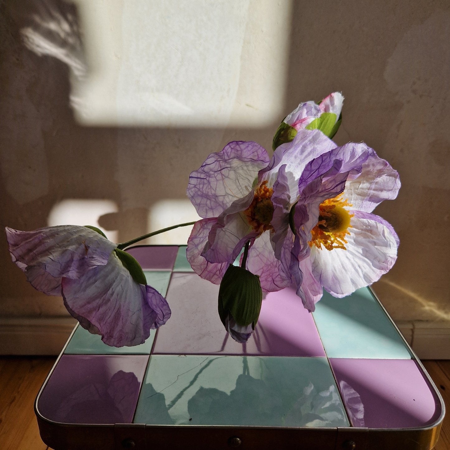 Fluffy flowers
