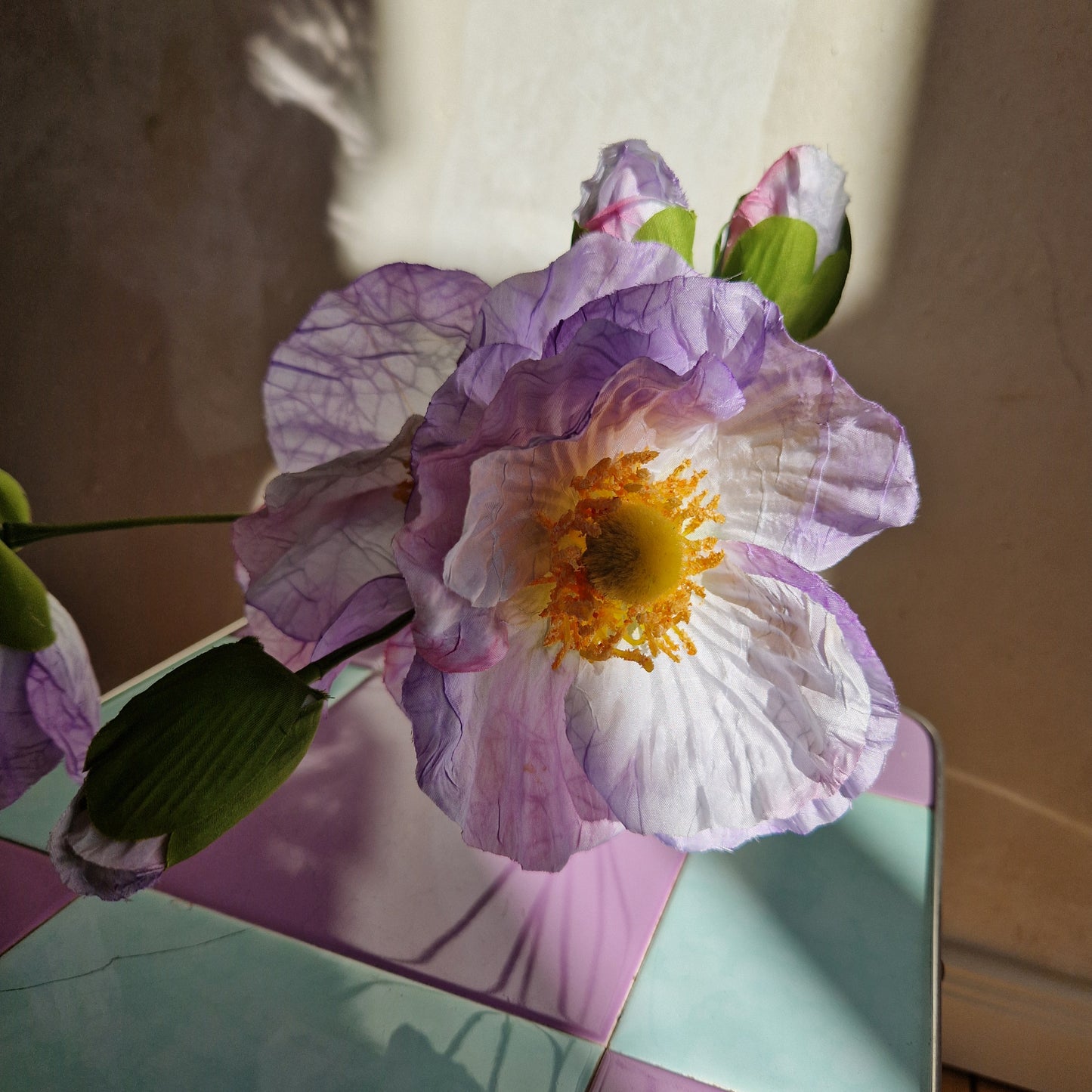 Fluffy flowers