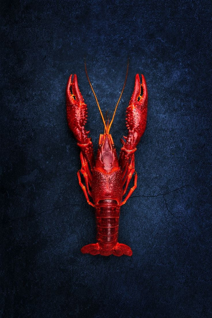 Crayfish salt & peppar shaker
